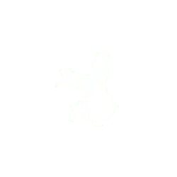 White Irregular Shape - Lossless PNG