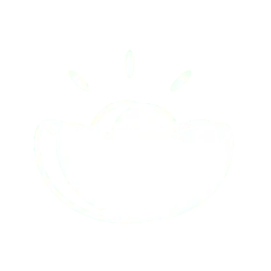 Sunflower - sun - High Download Count PNG