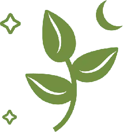 Clover - stars - No Watermark PNG