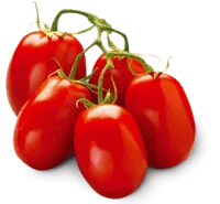 Tomato - red - healthy - High Resolution PNG