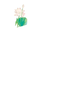 Lotus Flower - green - Trending PNG