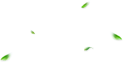 Falling Leaves - green - Trending PNG