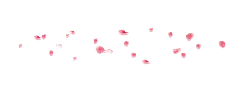 Pink Petals - Curated PNG - beautiful