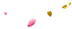 Colored Petals - nature - Lossless PNG
