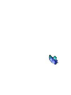 Butterfly - PNG Images - Recommended PNG