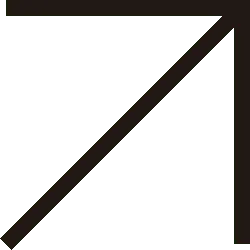 Brown Slash - geometric shape - Transparent Background PNG