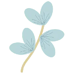 Four Leaf Clover - green - Transparent Background PNG