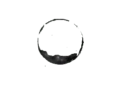 Black Owl - hunting - Curated PNG - Pic 2