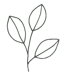 Leaf Pattern - plant - minimalist - Free PNG