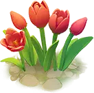 Tulip - High Resolution PNG
