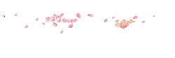 Pink Petals Falling - cozy - No Watermark PNG