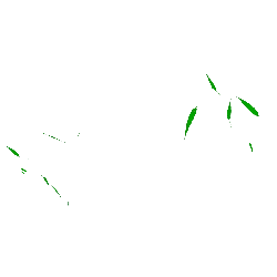 Green Plant - life - Highly Rated PNG