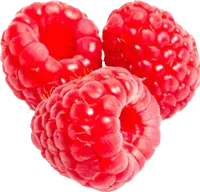 Raspberry - sweet - High Quality PNG