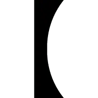 Black Cat - Curated PNG - Trending PNG