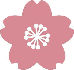 Cherry Blossom - beautiful - nature - Transparent Layer PNG