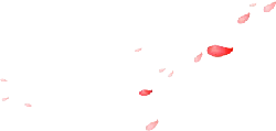 Red Petals Falling - petal - romantic - PNG