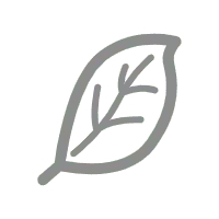Leaf - Popular Download PNG - Trending PNG
