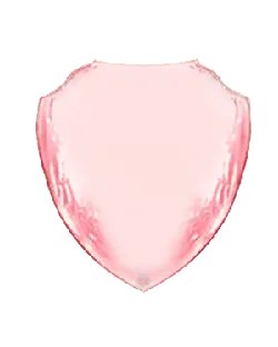 Watermelon - Curated PNG - red