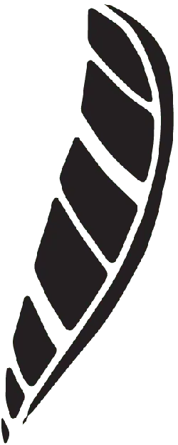 Feather - nature - Highly Rated PNG