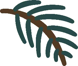 Pine Branch - plant - brown - No Watermark PNG