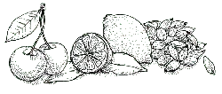 Fruit Platter - black and white - High Resolution PNG