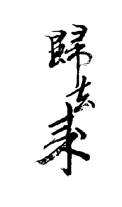 Black Owl - High Download Count PNG - nocturnal - Pic 4