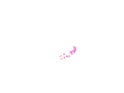 Pink Flowers - nature - bloom - PNG