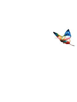 Colored Butterfly - Trending PNG