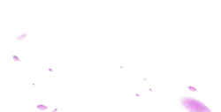 Purple Petals - Free PNG