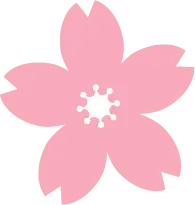 Curated PNG - Cherry Blossom - pink
