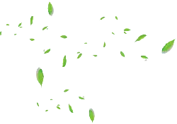 Leaves Falling - green - High Quality PNG