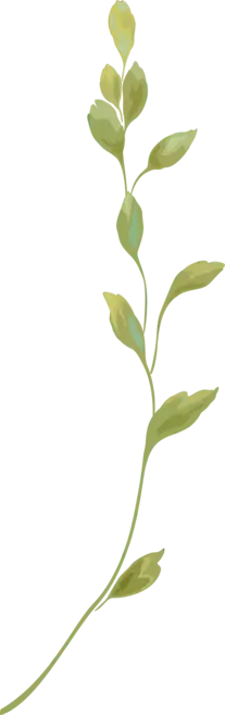 Green Plant Branch - plant - nature - Free Download PNG