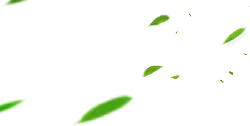 Green Light Spots - shadow - Free Download PNG