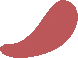 Red Abstract Shape - graphic design - Transparent Layer PNG