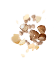 Peanut - snack - Free for Commercial Use PNG