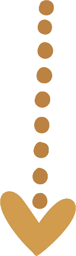 Brown Necklace - necklace - PNG Images