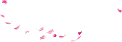 Pink Petals - background - Highly Rated PNG