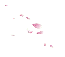 Pink Petals Falling - nature - Free Download PNG