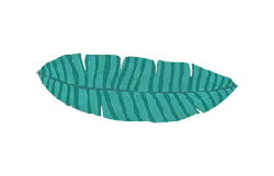 Banana Leaf - Curated PNG - tropical