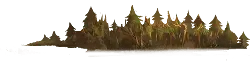 Forest - nature - PNG