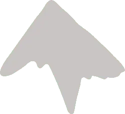 Abstract Shape - irregular - gray - PNG Images