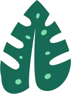 Leafy Plant - nature - Free PNG