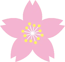 Cherry Blossom - pink - Recommended PNG