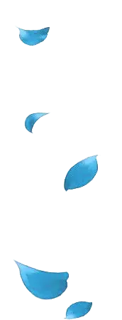 Blue Petals - peaceful - Transparent Layer PNG