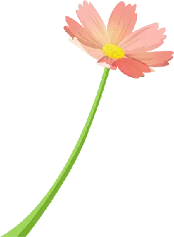 Pink Flower - Fast Download PNG - plant