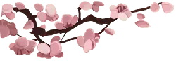 Pink Cherry Blossoms - beautiful - Curated PNG