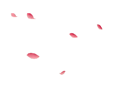 Pink Petals - background - PNG