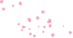 Pink Petals - romantic - pink - High Resolution PNG