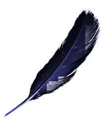 Feather - lightweight - purple - No Watermark PNG