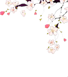 Cherry Blossom - Designer's Pick PNG - spring - Pic 4